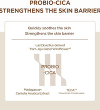 Skin 1004 Madagascar Centella Probio – Cica Enrich Cream – 50ML