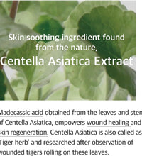 Mixsoon Soondy Centella Asiatica Essence - 100ML