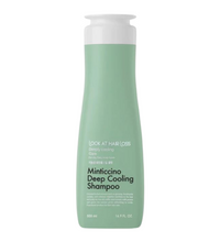 Daeng Gi Meo Ri Look at Hair Loss Minticcino Deep Cooling Shampoo