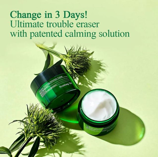 Pyunkang Yul Ultimate Calming Solution Cream - 30ML