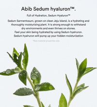 Abib Sedum Hyaluron Pad Hydrating Touch
